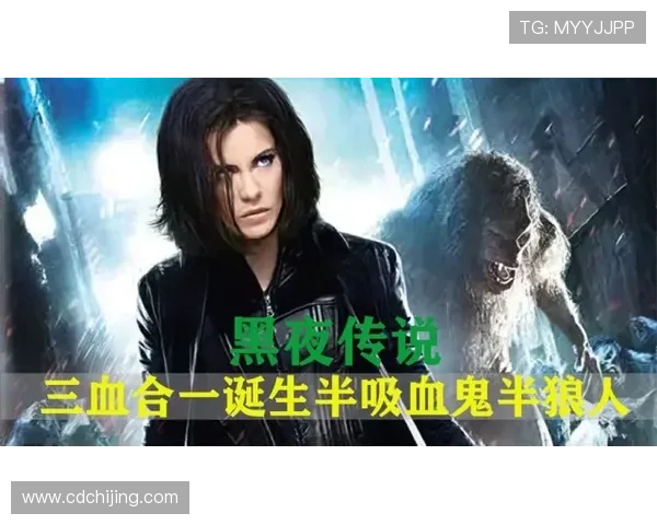 蕾丝边吸血鬼杀手踏上黑夜救赎之旅揭开古城血影秘史传奇谜局 蕾丝边吸血鬼杀手踏上黑夜救赎之旅揭开古城血影秘史传奇谜局