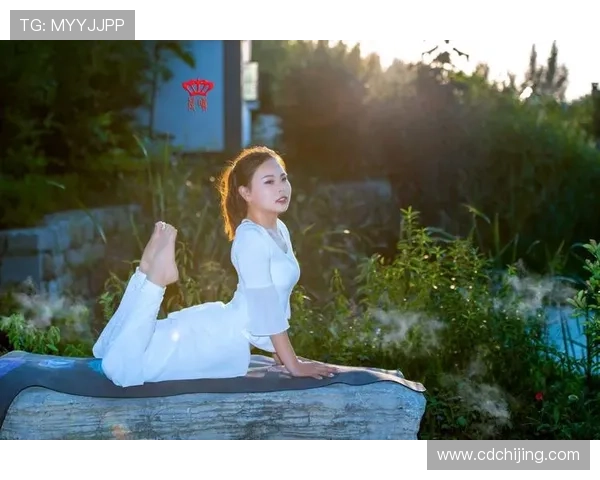 《静与动之间:瑜伽学院电影,一次涤荡心灵的银幕之旅》 《静与动之间:瑜伽学院电影,一次涤荡心灵的银幕之旅》