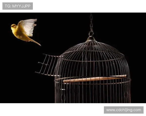 挣脱牢笼：当“兽性难驯”遇上智慧与艺术