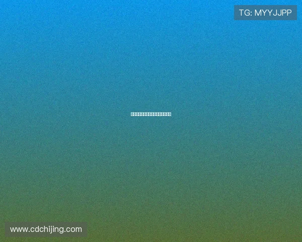 世界番付：一窥全球之巅的非凡版图