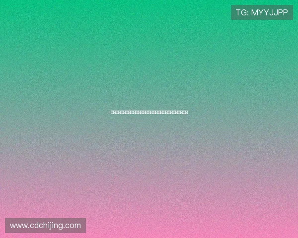 欧巴桑字幕组：那些我们追逐的，不只是影像，更是青春与梦想的回响