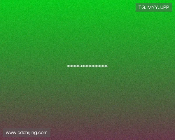 潜入暗影：杀手日记4，当罪与罚交织的史诗，即将震撼来袭！